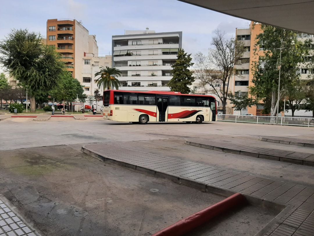 Estación de autobús en Gandia 