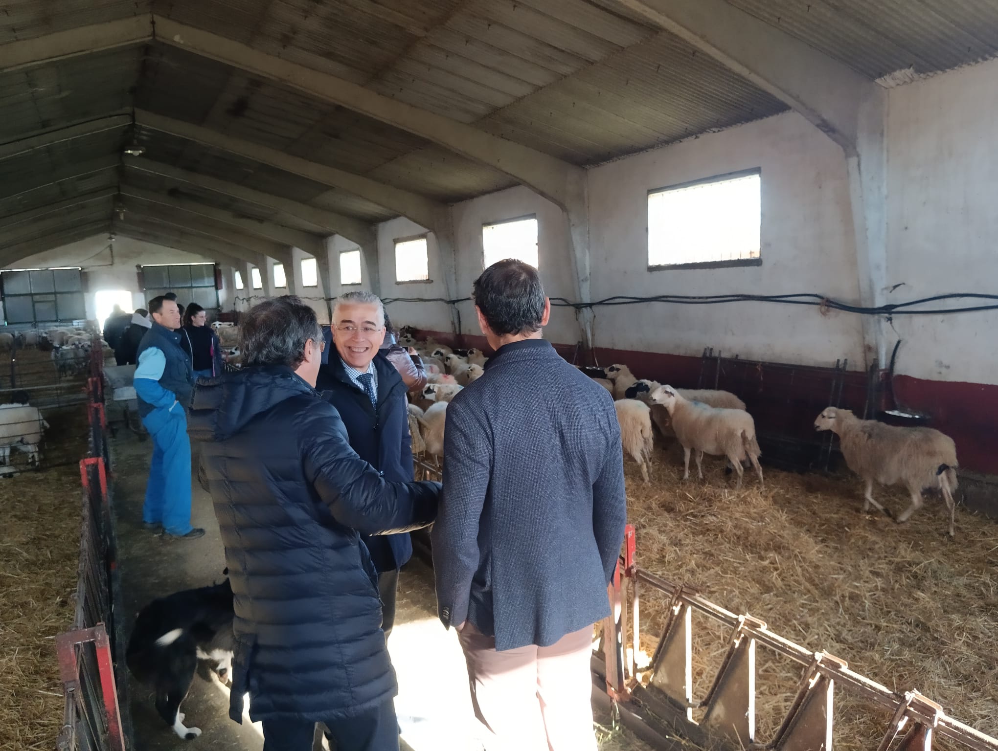 El subdelegado del Gobierno en Burgos, Roberto Saiz Alonso, acompañaba al Director de Política Agraria en la visita a esta explotación ovina
