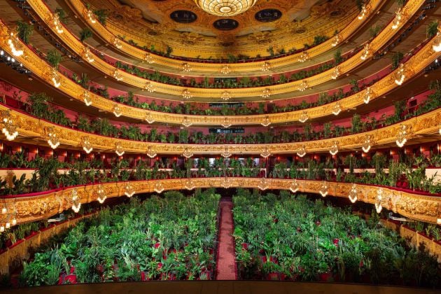 El artista Eugenio Ampudia da un concierto en el Liceu para un público de 2.292 plantas.