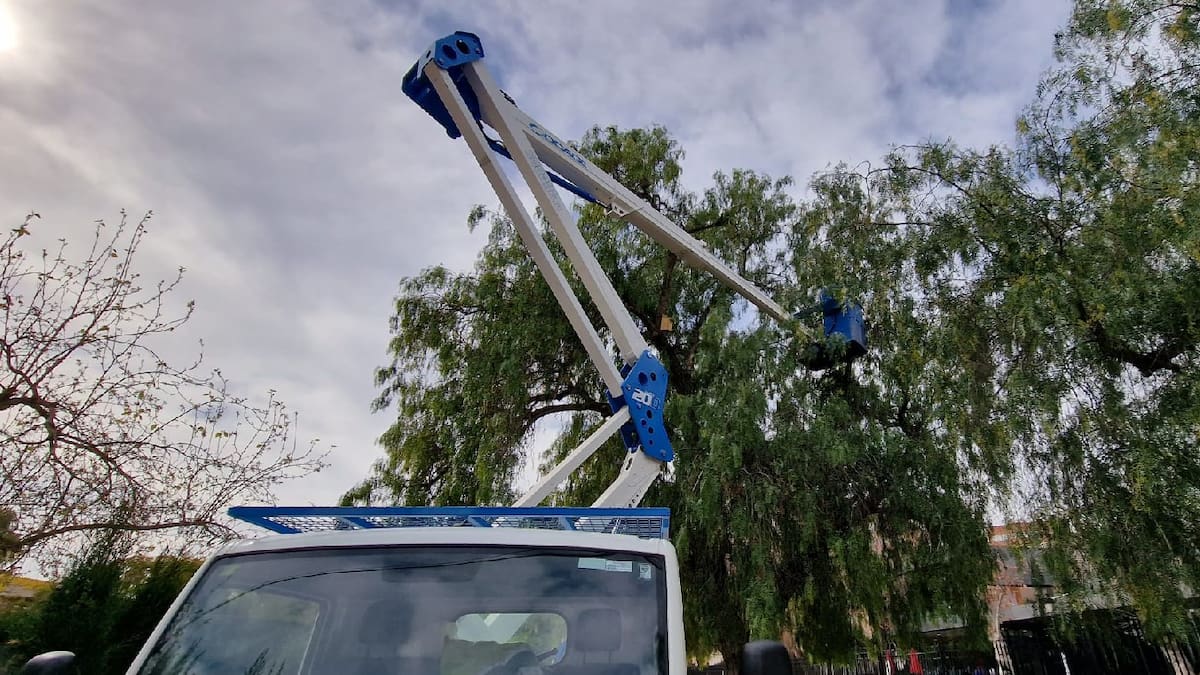 Entrevista con Mariano Perán de Cepaim Lorca