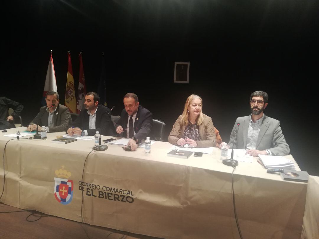 Pleno consejo comarcal