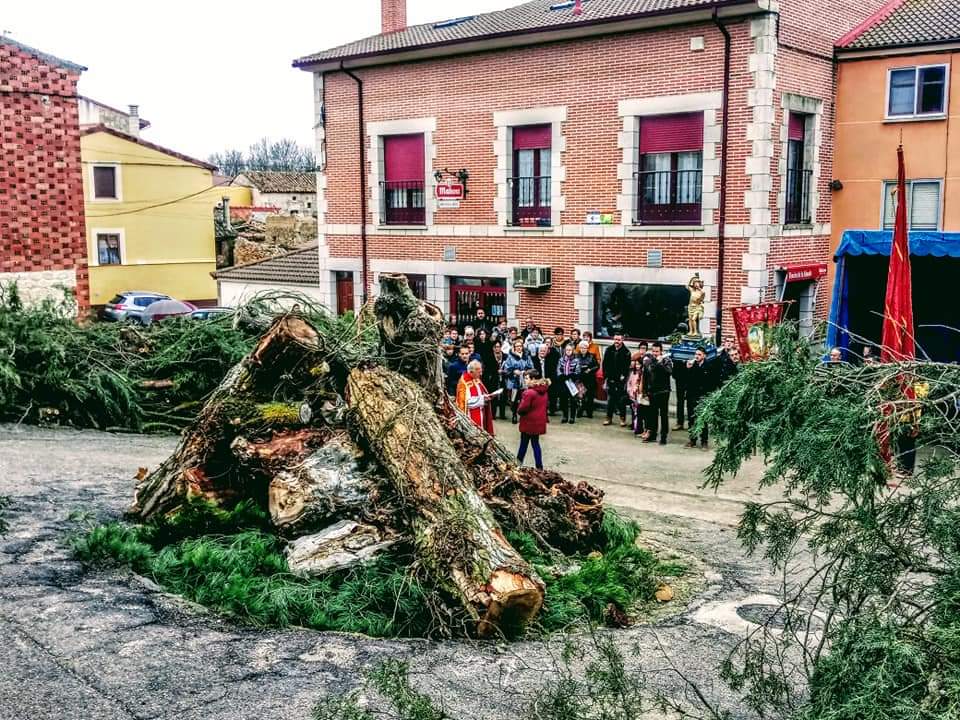 Bendición de la leña en Cabañes de Esgueva para la hoguera de San Sebastián, año 2020