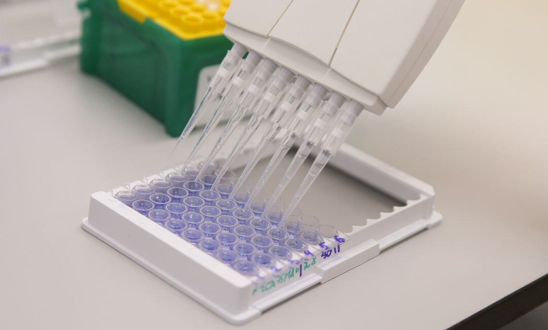 Vacunas contra el coronavirus en fase de ensayo.