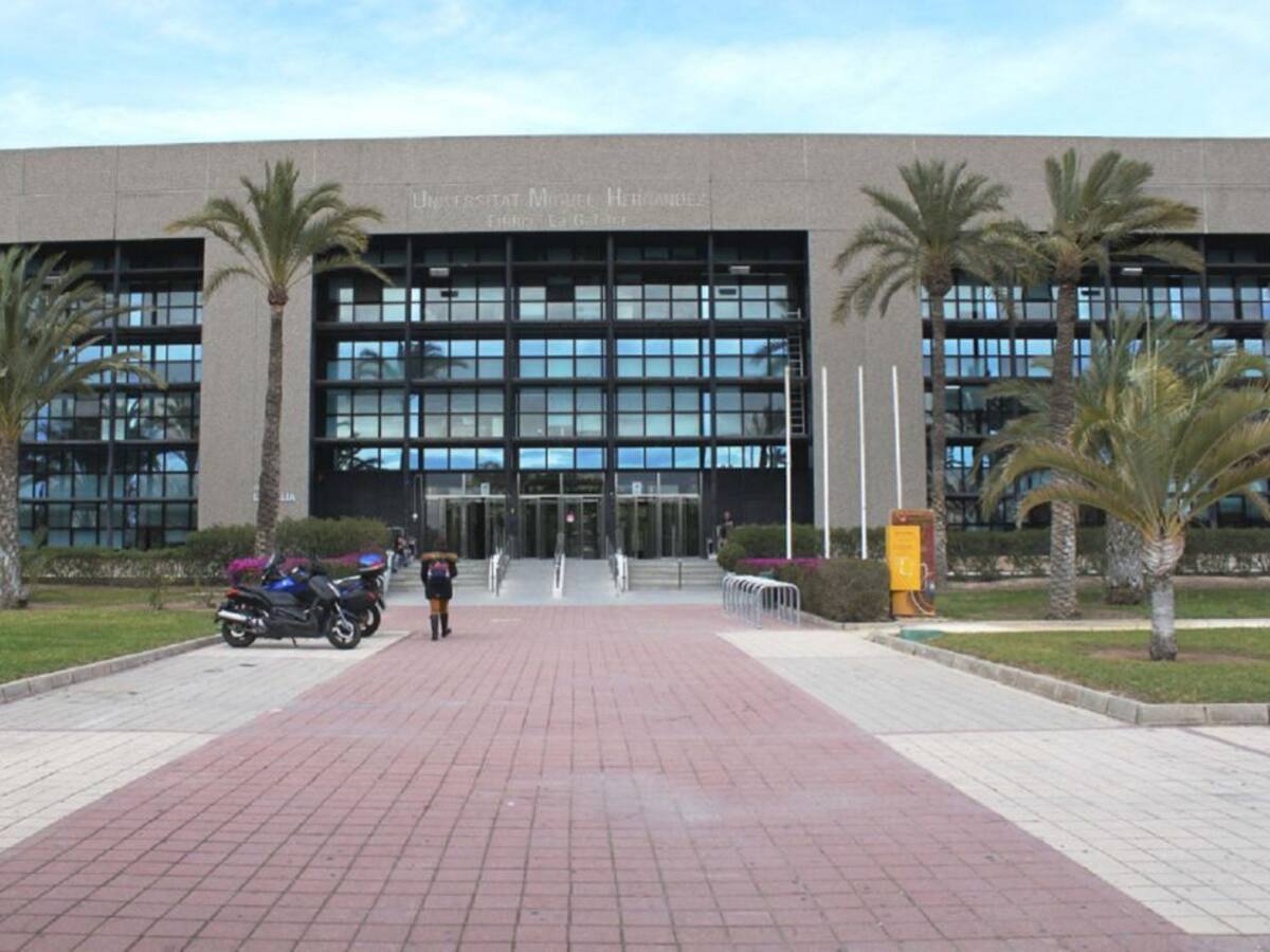 La UMH instala 66 placas solares para reducir su huella de carbono