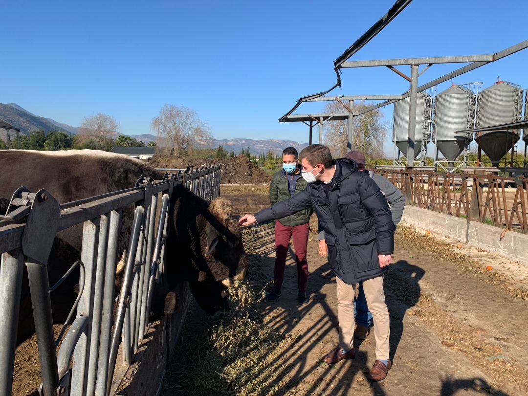 Visita a una granja en el marjal de Gandia 