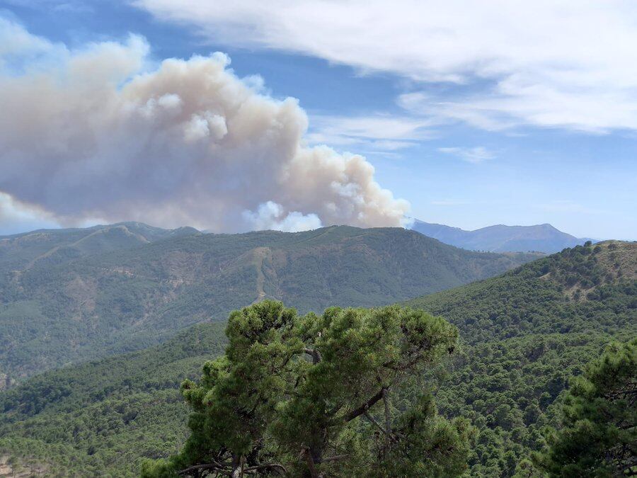 PUJERRA (MÁLAGA), 08/06/2022.- Vista del incendio declarado este miércoles en Pujerra (Málaga), en pleno corazón de Sierra Bermeja, en un área inaccesible por tierra y en cuya extinción trabajan ya 125 agentes contra incendios junto a trece medios aéreos, según han informado a EFE desde el plan andaluz Infoca. EFE/INFOCA /SOLO USO EDITORIAL/SOLO DISPONIBLE PARA ILUSTRAR LA NOTICIA QUE ACOMPAÑA (CRÉDITO OBLIGATORIO)
