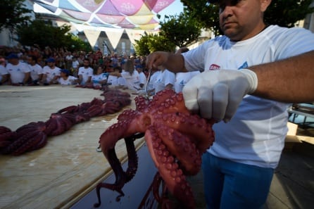 El pulpo gallego es de menor tamaño y tiene los tentáculos entrelazados