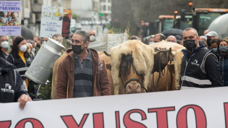 Agricultura, ganadería, transporte, industria, peluquerías o pensionistas: otoño-invierno del descontento