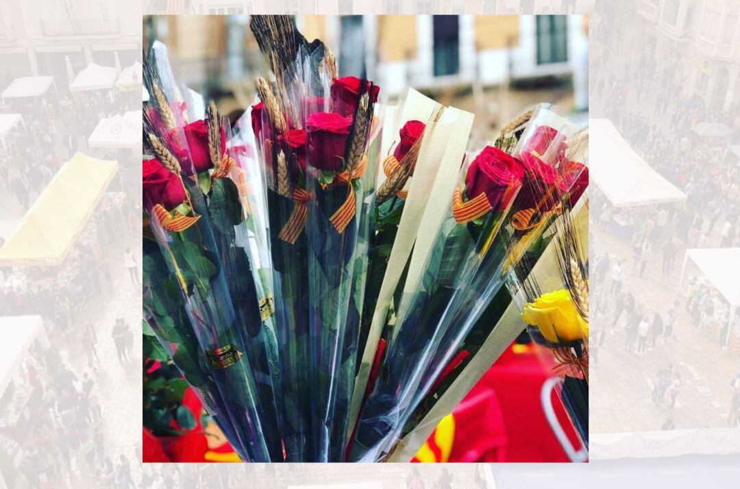 Roses a la Rambla Nova de Tarragona