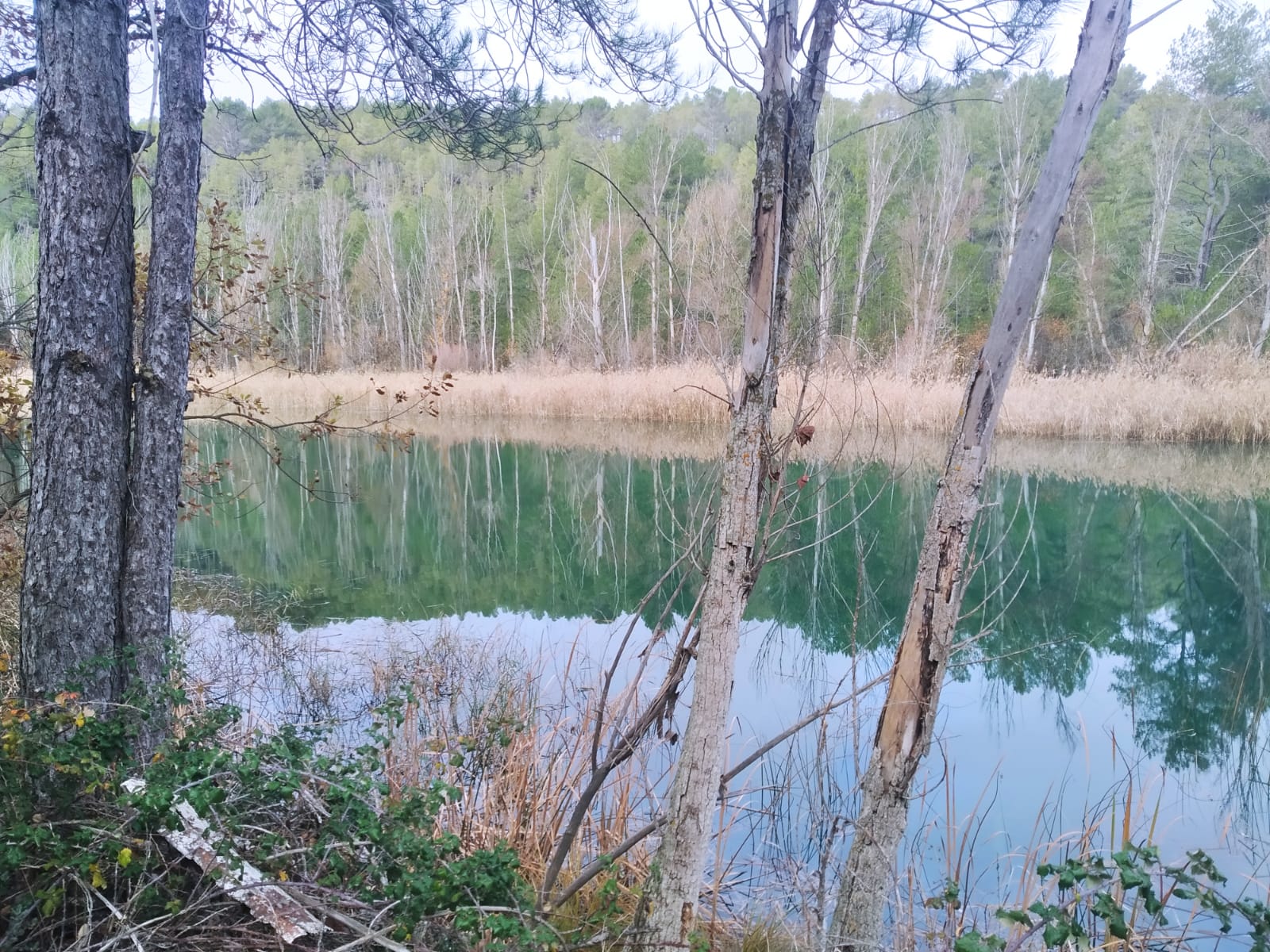 El río Guadiela a su paso por el paraje de Cueva Tomás en Albendea (Cuenca).