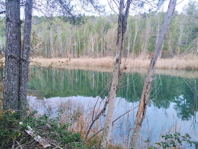El río Guadiela a su paso por el paraje de Cueva Tomás en Albendea (Cuenca).