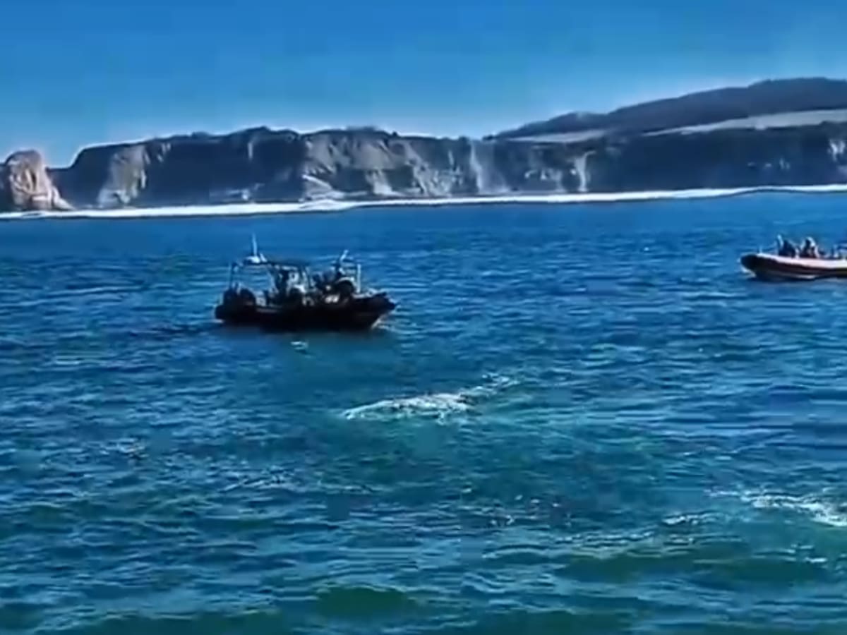 Encontrado frente a la playa de Hendaia el cadáver de un hombre, se investiga si corresponde al vecino de Irun desaparecido