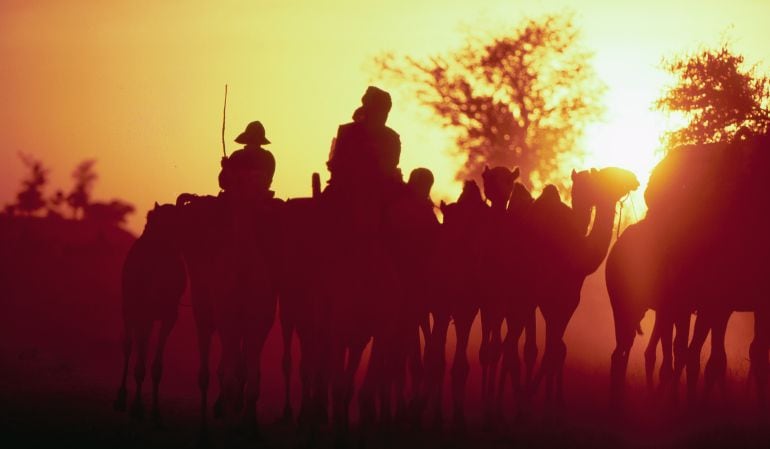 Tuaregs en sus camellos