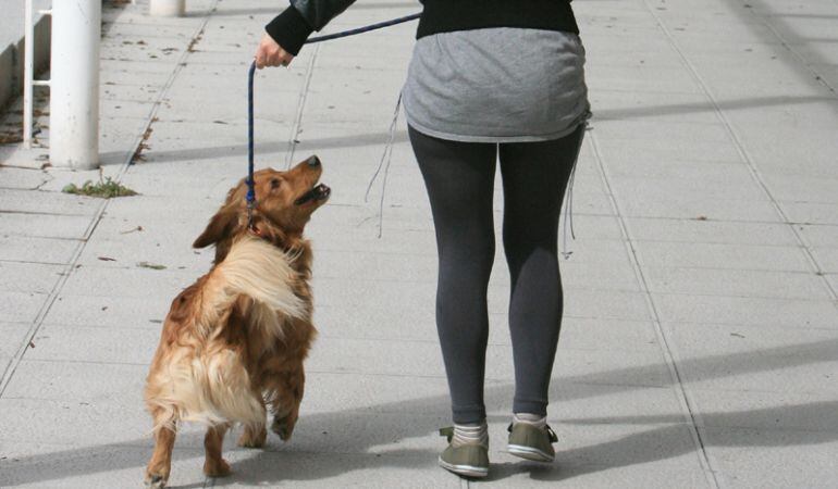 Imagen en archivo de una mujer y un perro paseando