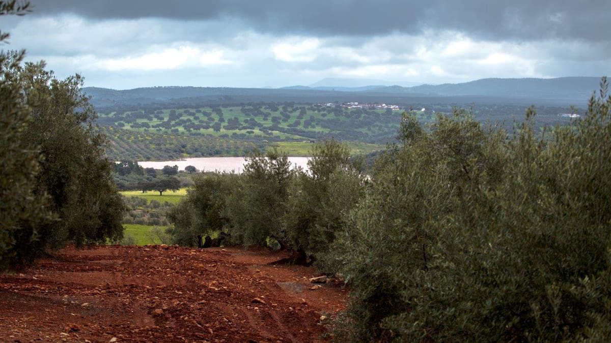 Alcaldes de la Comarca del Condado piden una reunión urgente del Consejo de Alcaldes y Alcaldesas para evitar una subida en los precios del agua