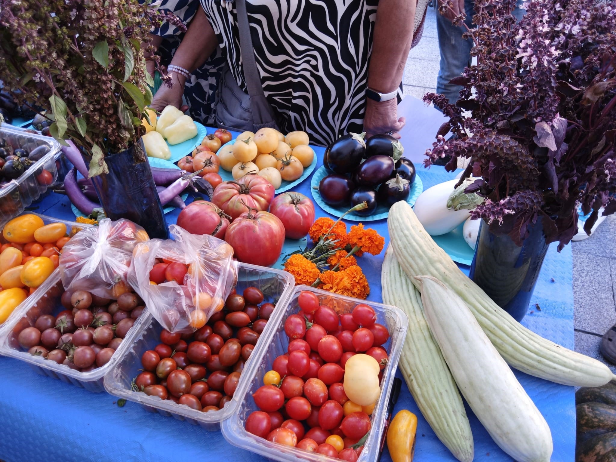 Muestra de Frutas y Hortalizas. Foto: Ayuntamiento de Barbastro