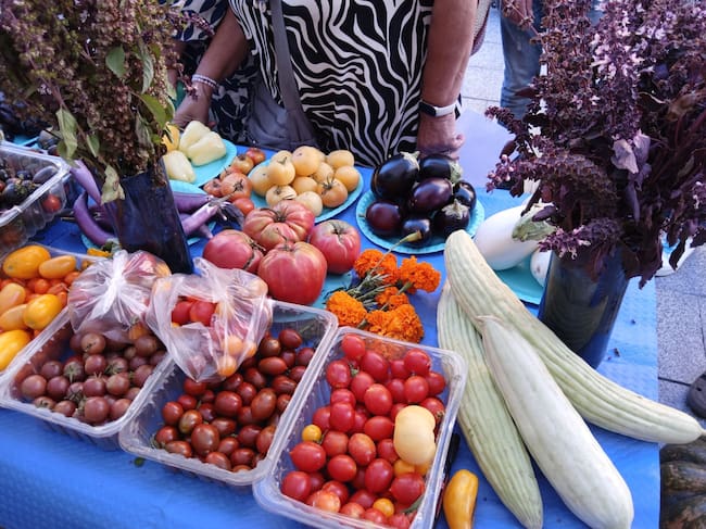 Muestra de Frutas y Hortalizas. Foto: Ayuntamiento de Barbastro