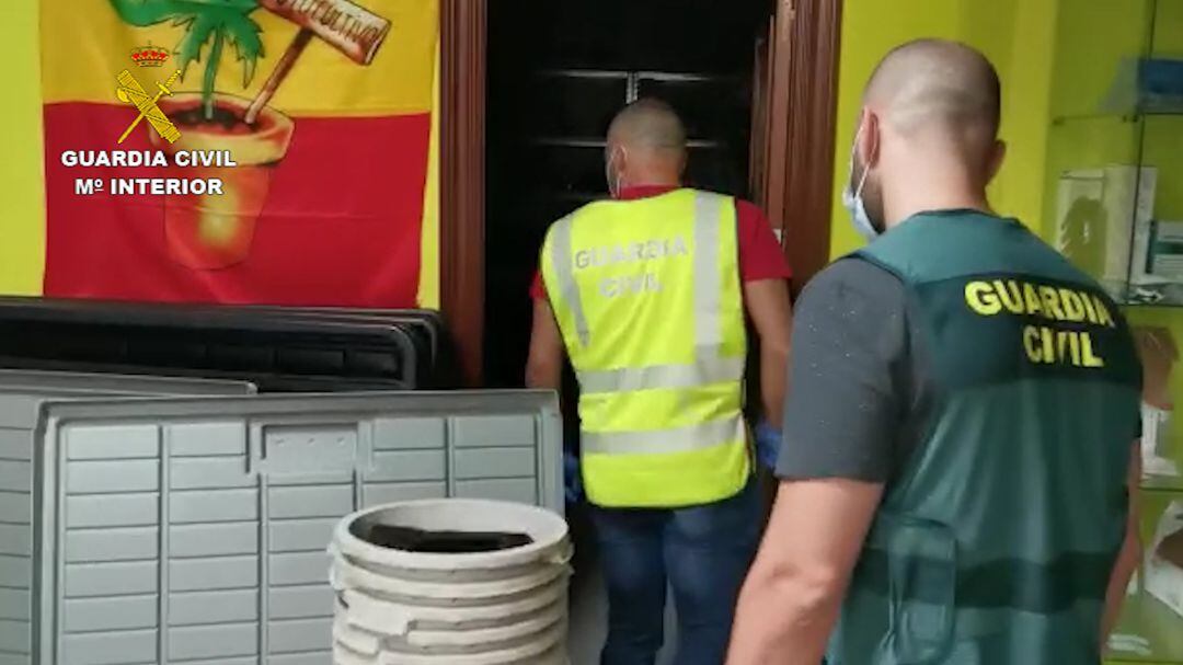 Aprehensión de marihuana en Palencia