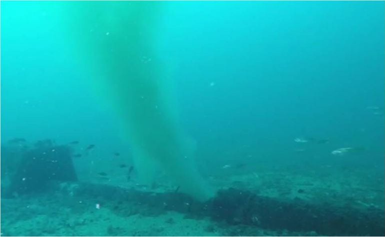 Imagen del emisario de Platja d&#039;en Bossa denunciado por la Alianza por el Agua. 