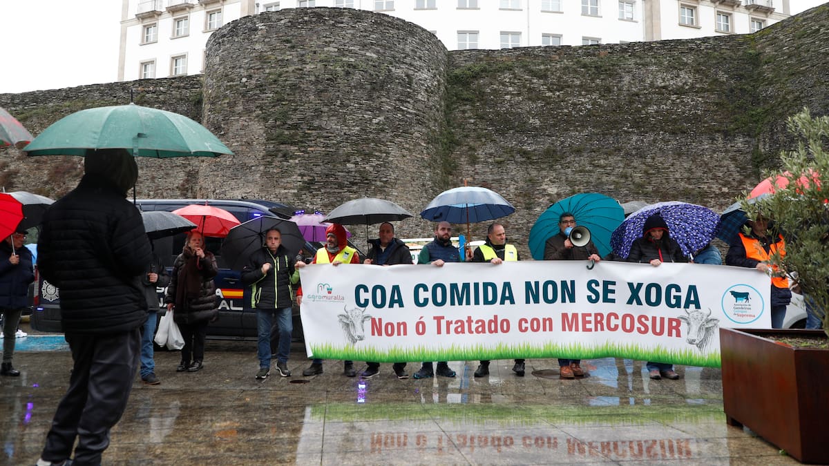 ¿Cómo afectará el acuerdo de Mercosur al sector primario?: el análisis de productores y expertos en economía