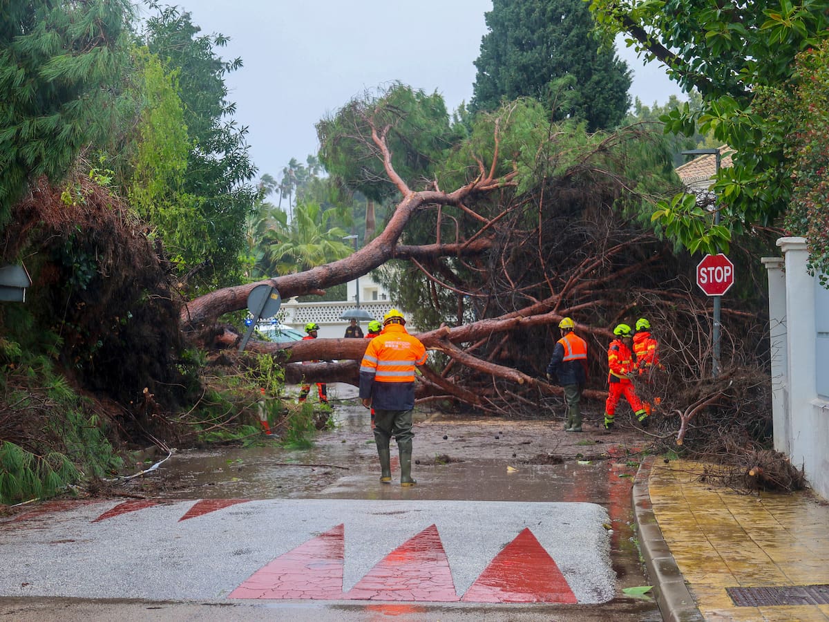Registrados tres terremotos en Gaucín que podrían estar asociados al movimiento de aguas subterráneas
