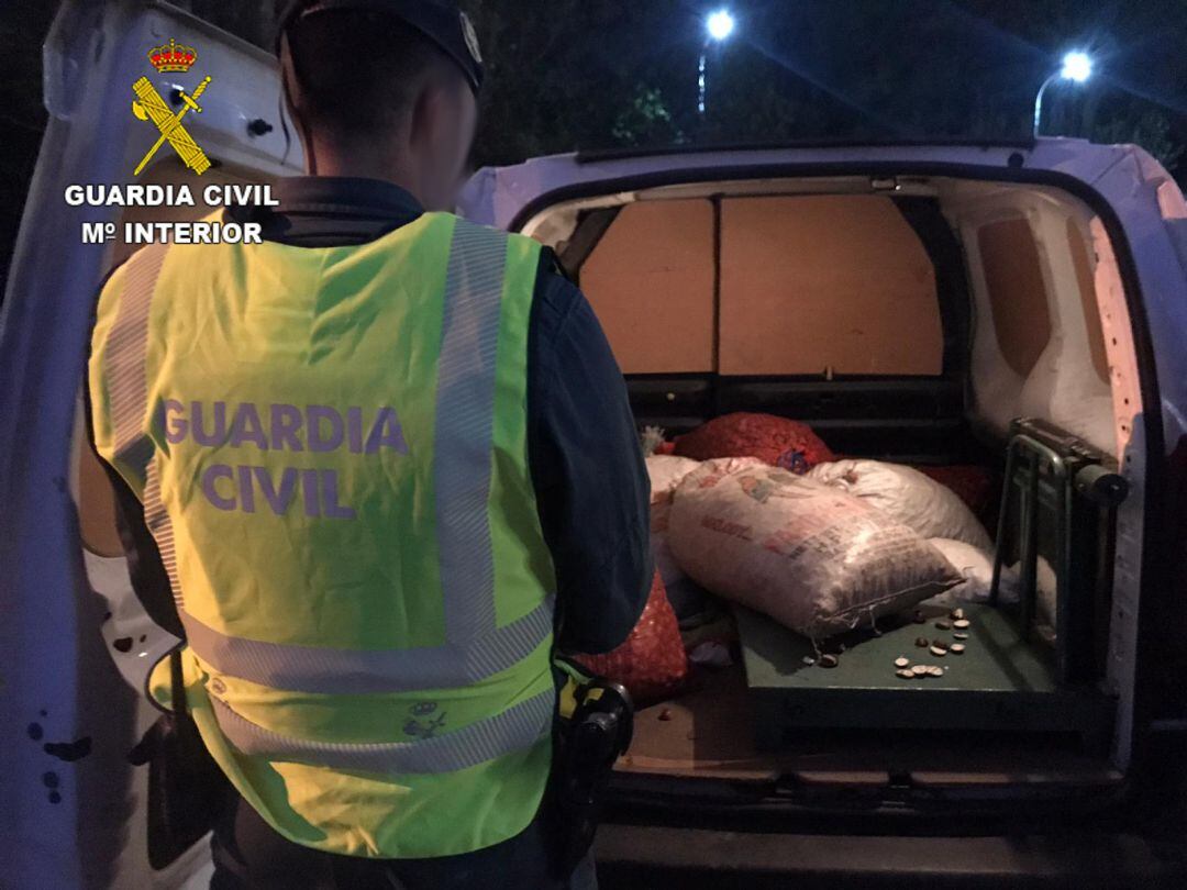 Recuperación de castañas robada