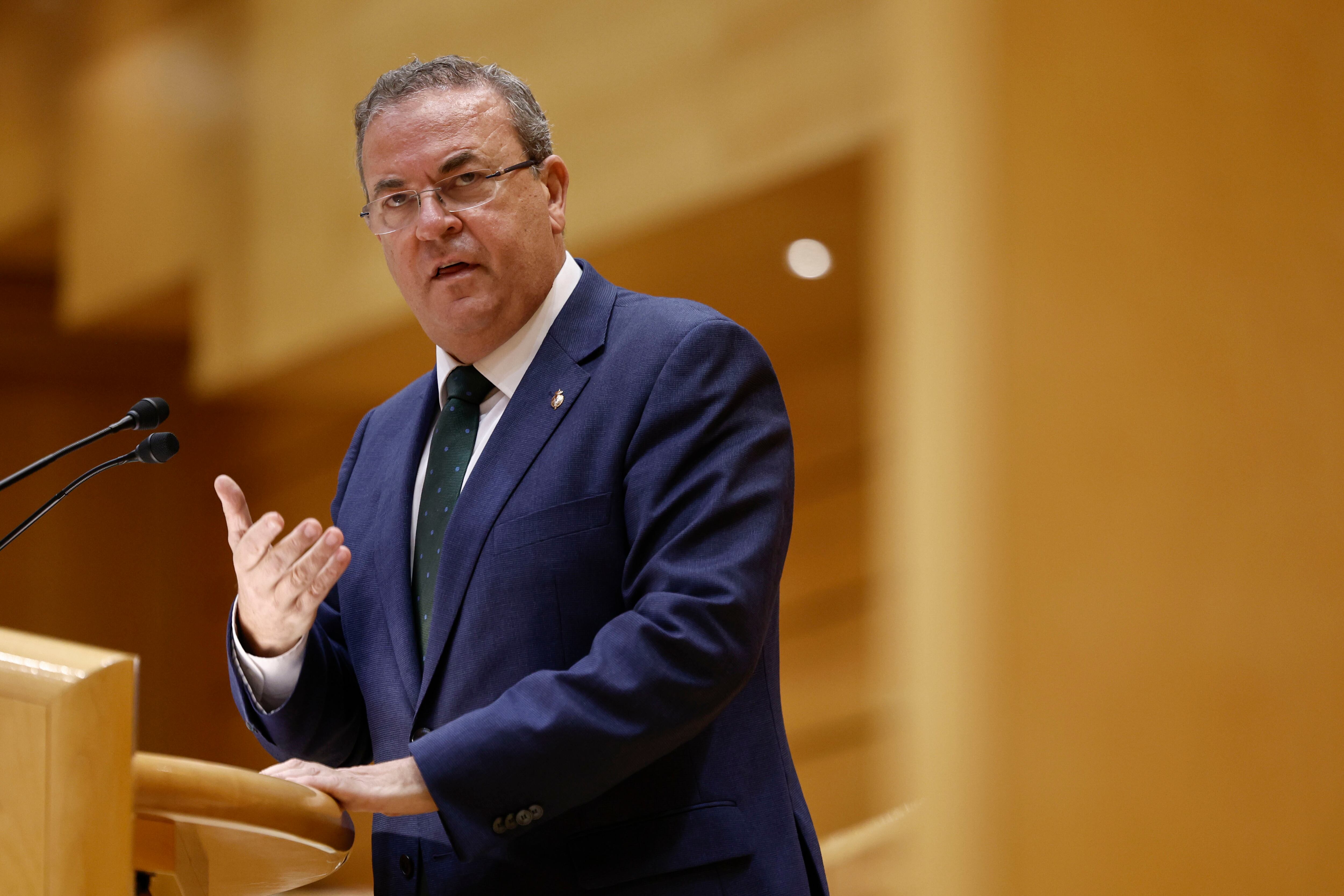 El senador del PP José Antonio Monago interviene en el Senado