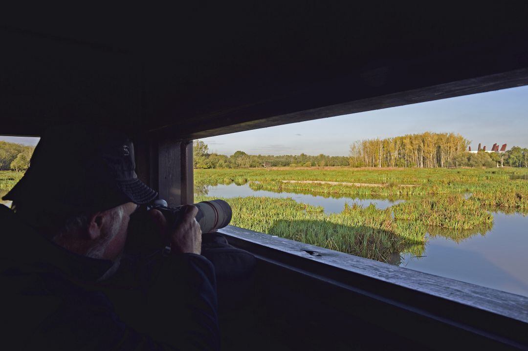 Salburua es uno de los humedales continentales más valiosos del País Vasco, Humedal Ramsar de Importancia Internacional y Lugar de Importancia Comunitaria (LIC) dentro de la Red Europea Natura 2000.