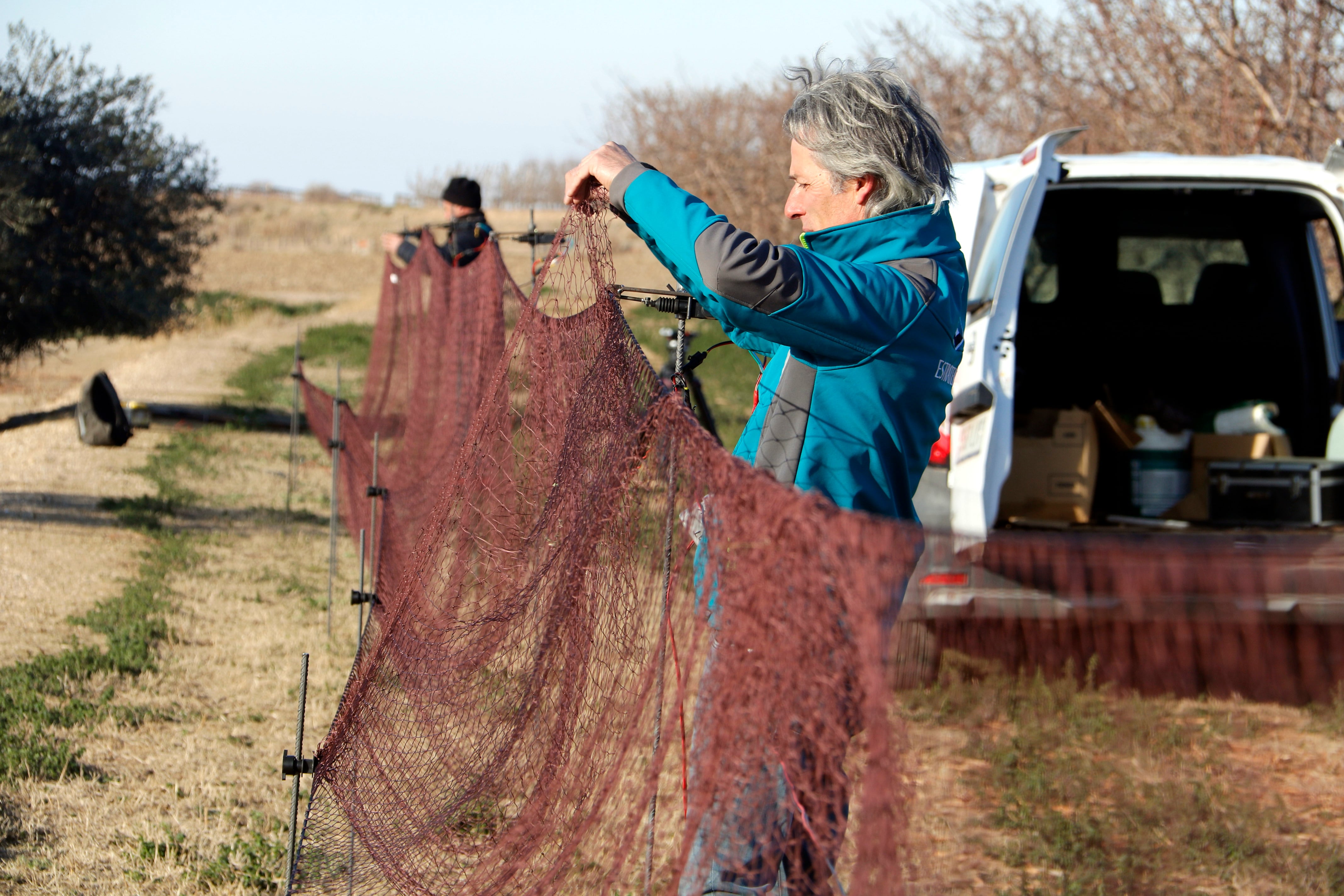 El sistema amb xarxes per acabar amb la plaga de conills s&#039;ha provat a la zona de l&#039;Estany d&#039;Ivars i Vila-sana. Foto: ACN.