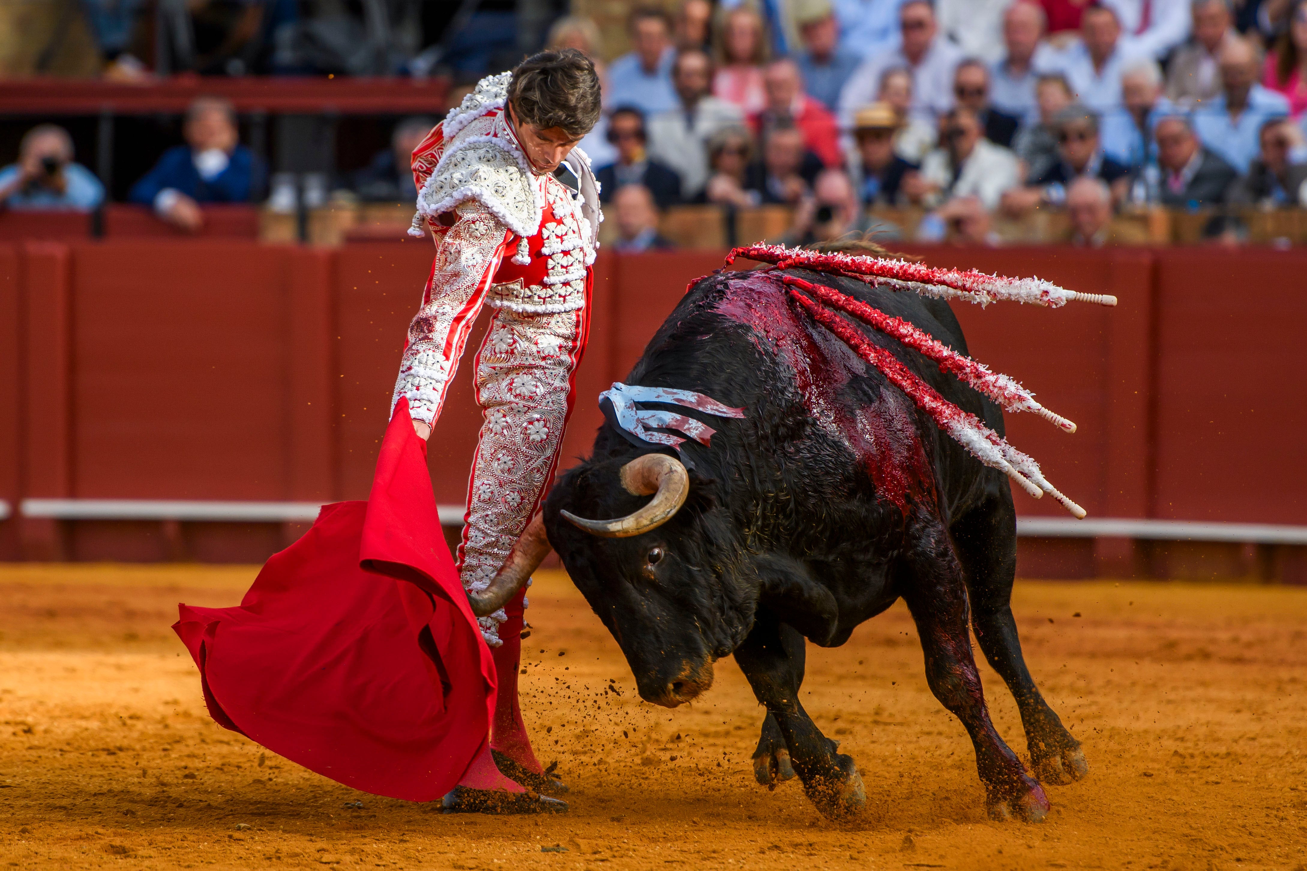 SEVILLA, 19/04/2024.- El diestro galo Sebastián Castella con su primer toro de la tarde en el festejo de la Feria de Abril que se celebra este viernes en la Real Maestranza de Sevilla. EFE/ Raúl Caro.
