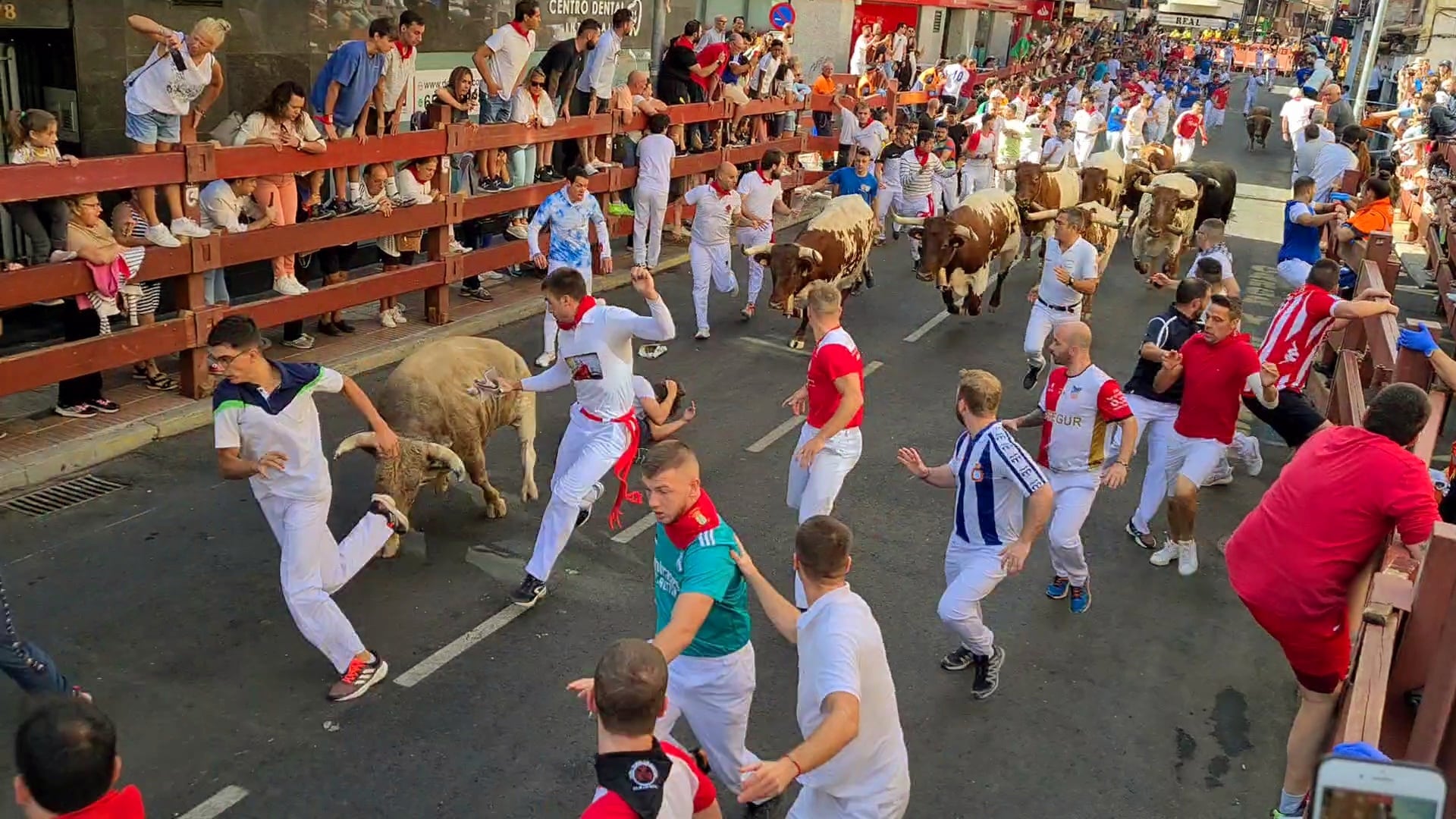 Tercer encierro tradicional de las Fiestas de San Sebastián de los Reyes 2023