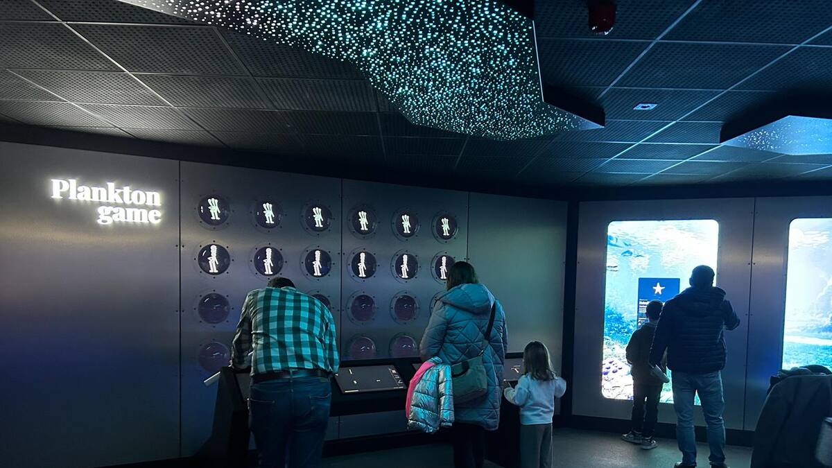 Lasaga (Aquarium): "Superaremos los 15.000 visitantes"