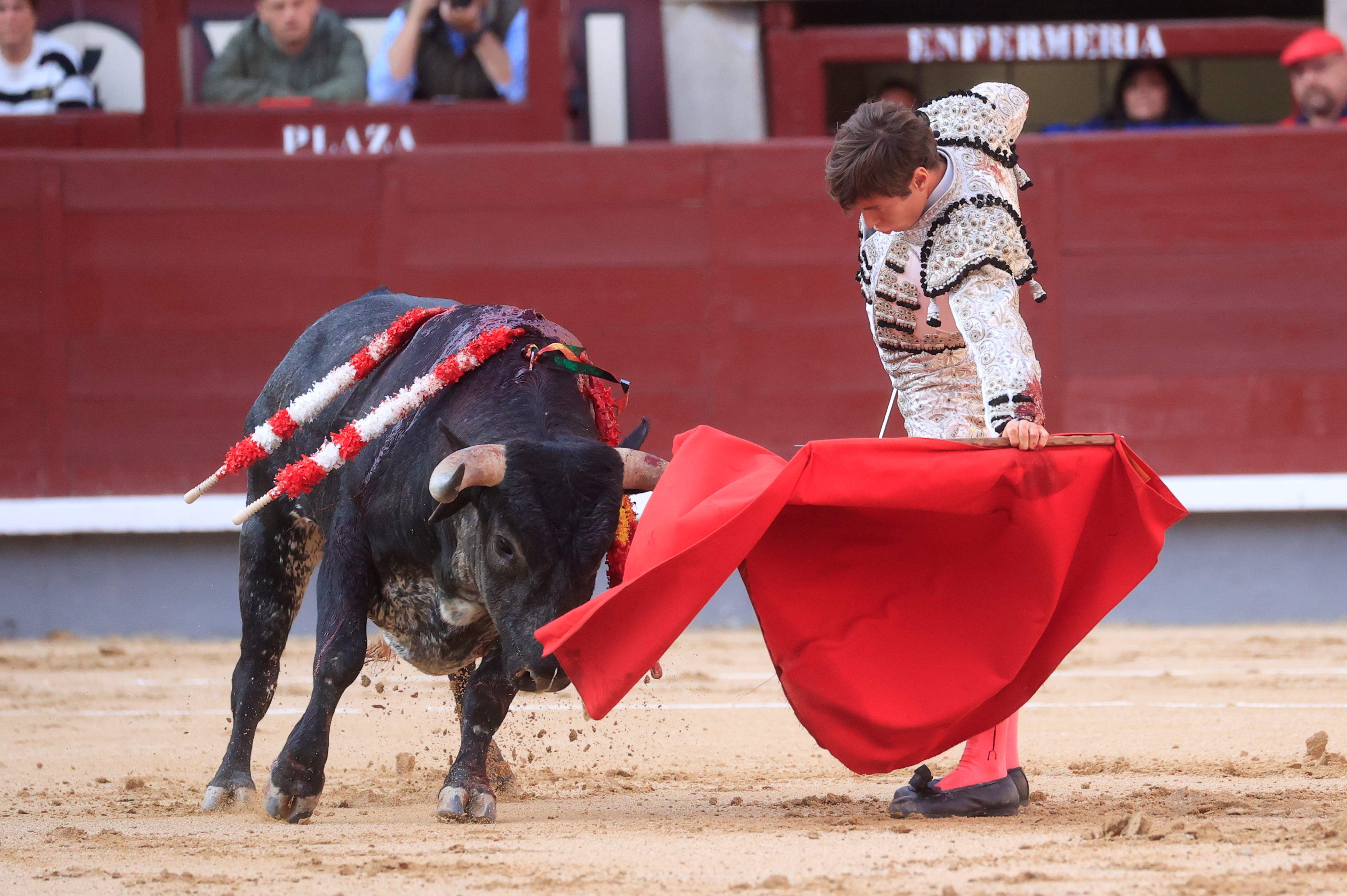 La Plaza de Las Ventas homenajea a “Duplicado”, el toro de Guadalix de la Sierra que fue el “más bravo” de 2022