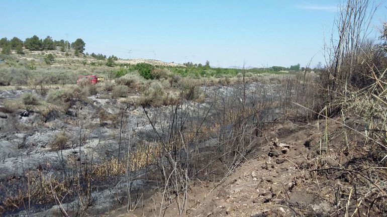 Paisaje calcinado tras el incendio de cañaveral en Sax