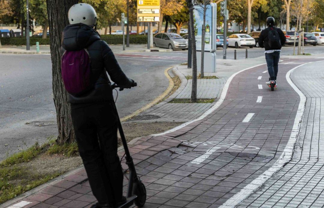 Ciudadanos denuncia el mal estado del carrll bici que discurre por la Alameda de la ciudad. 