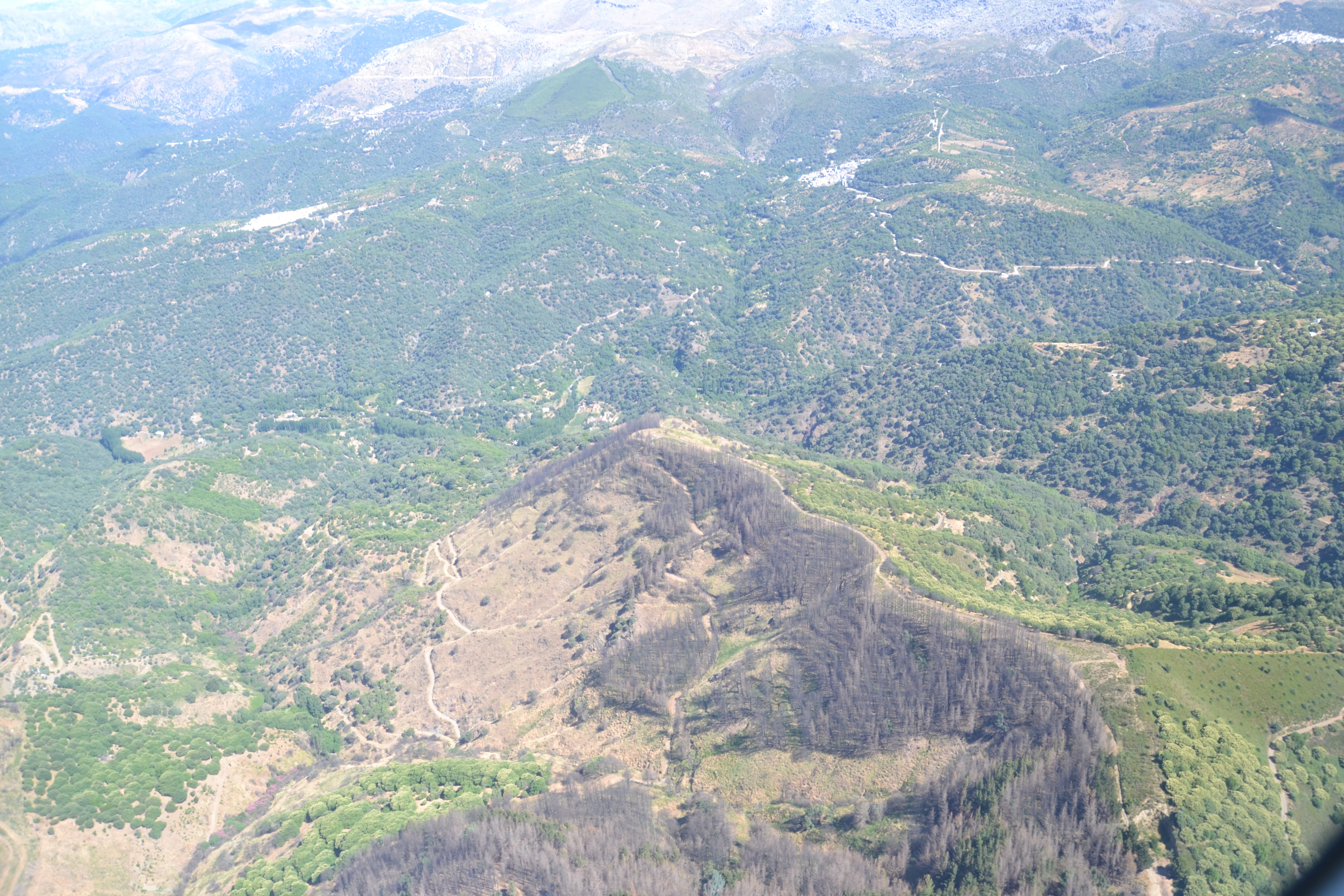 Vista aérea de la superficie arrasada por el incendio de Pujerra