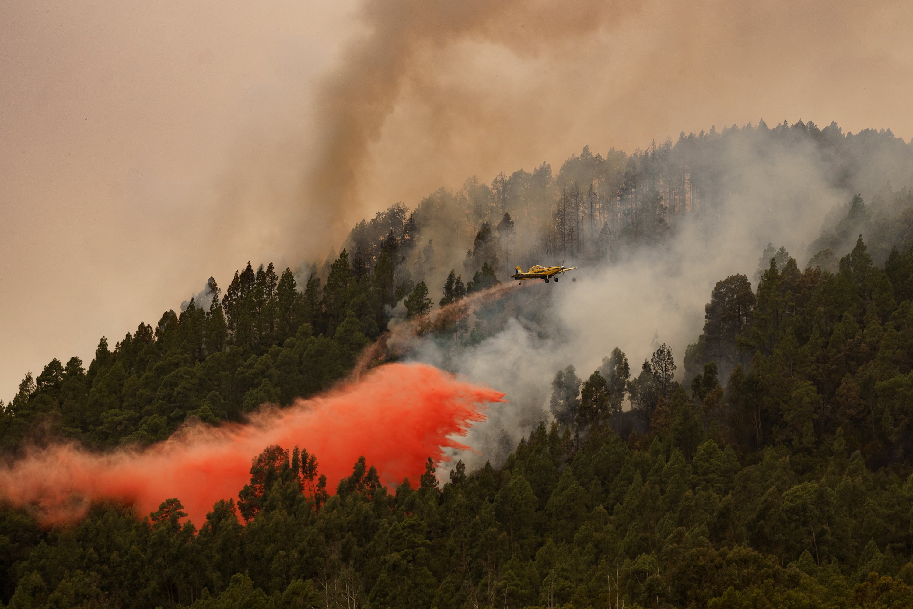 GRAFCAN5764. EL ROSARIO (TENERIFE), 17/08/2023.- Un avión participa en las labores de extinción de incendio forestal en el municipio tinerfeño de El Rosario, muy cercano al núcleo poblacional de La Esperanza. EFE/Ramón de la Rocha
