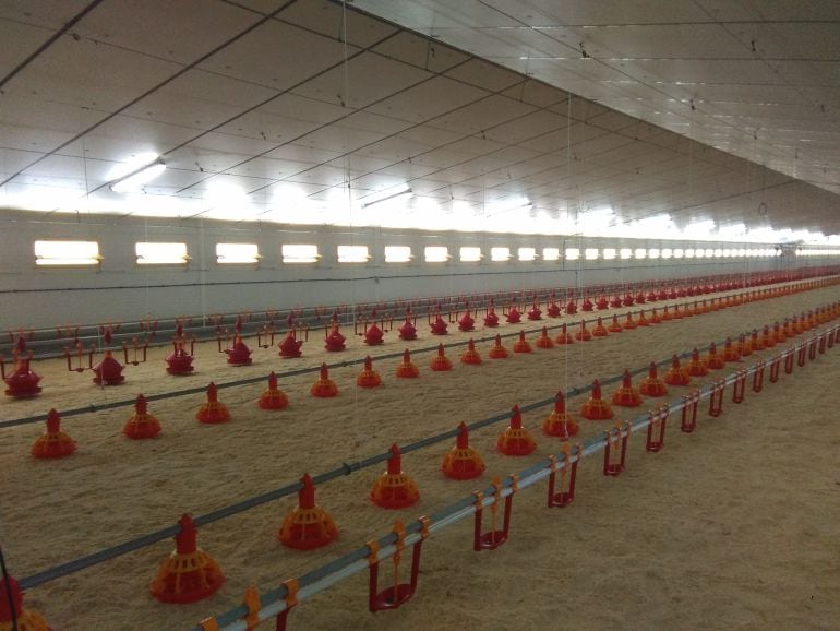 Aspecto de una de las naves esperando la llegada de los pavos