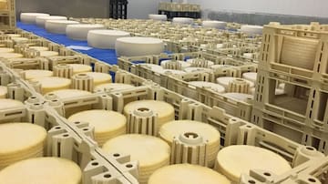 Lotes de un queso de pasta blanda afectados por salmonela