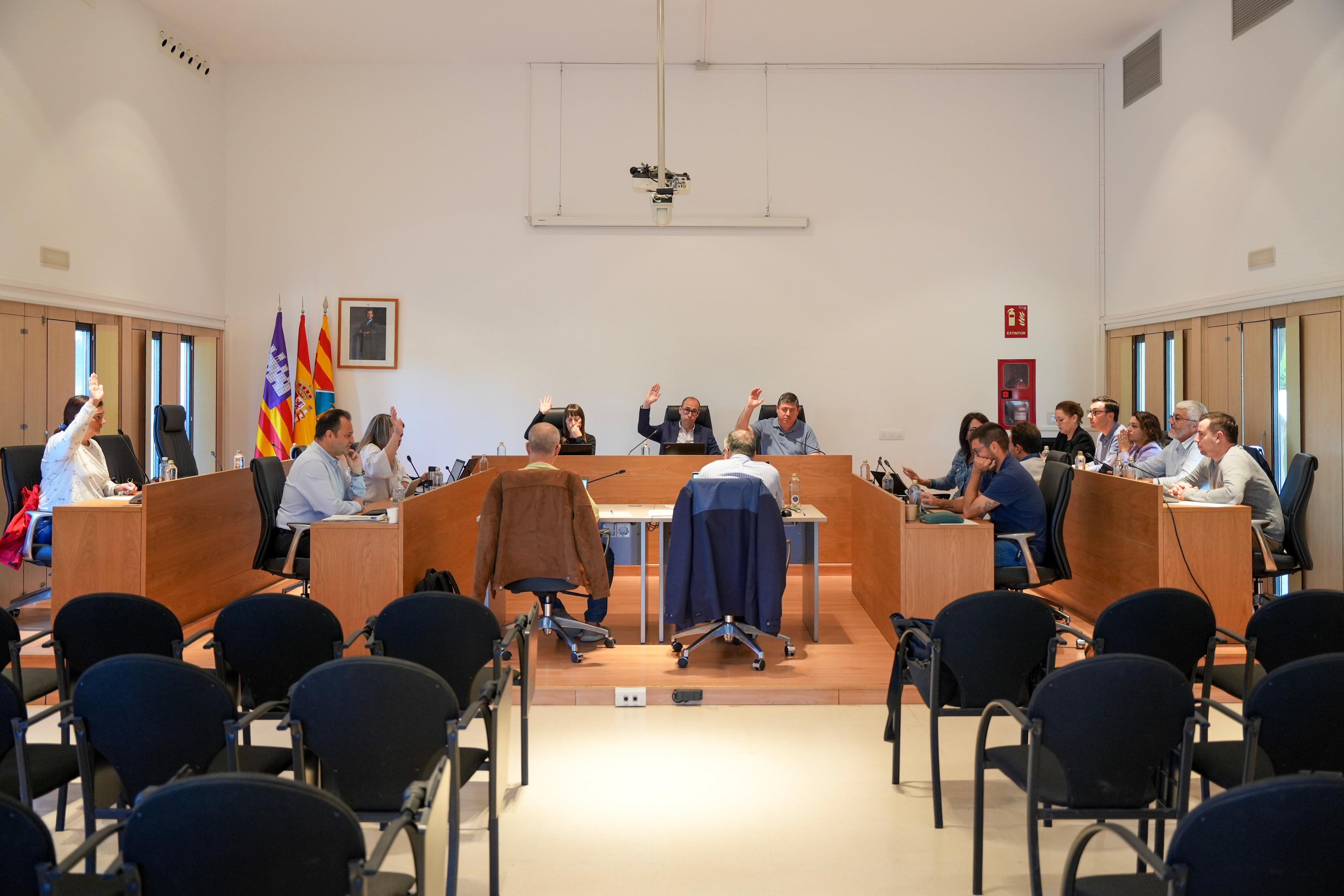 Un momento durante el pleno