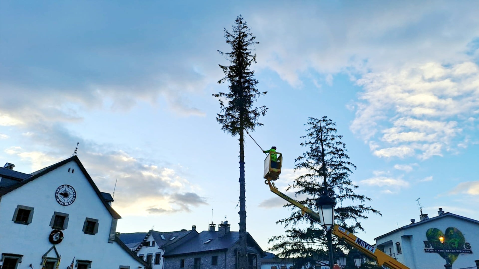 Tala de árboles en Biescas