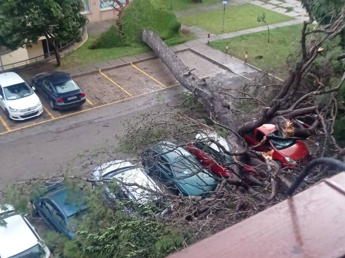 El gobierno local cifra en más de un millón de euros los gastos extraordinarios por la borrasca "Bernard"