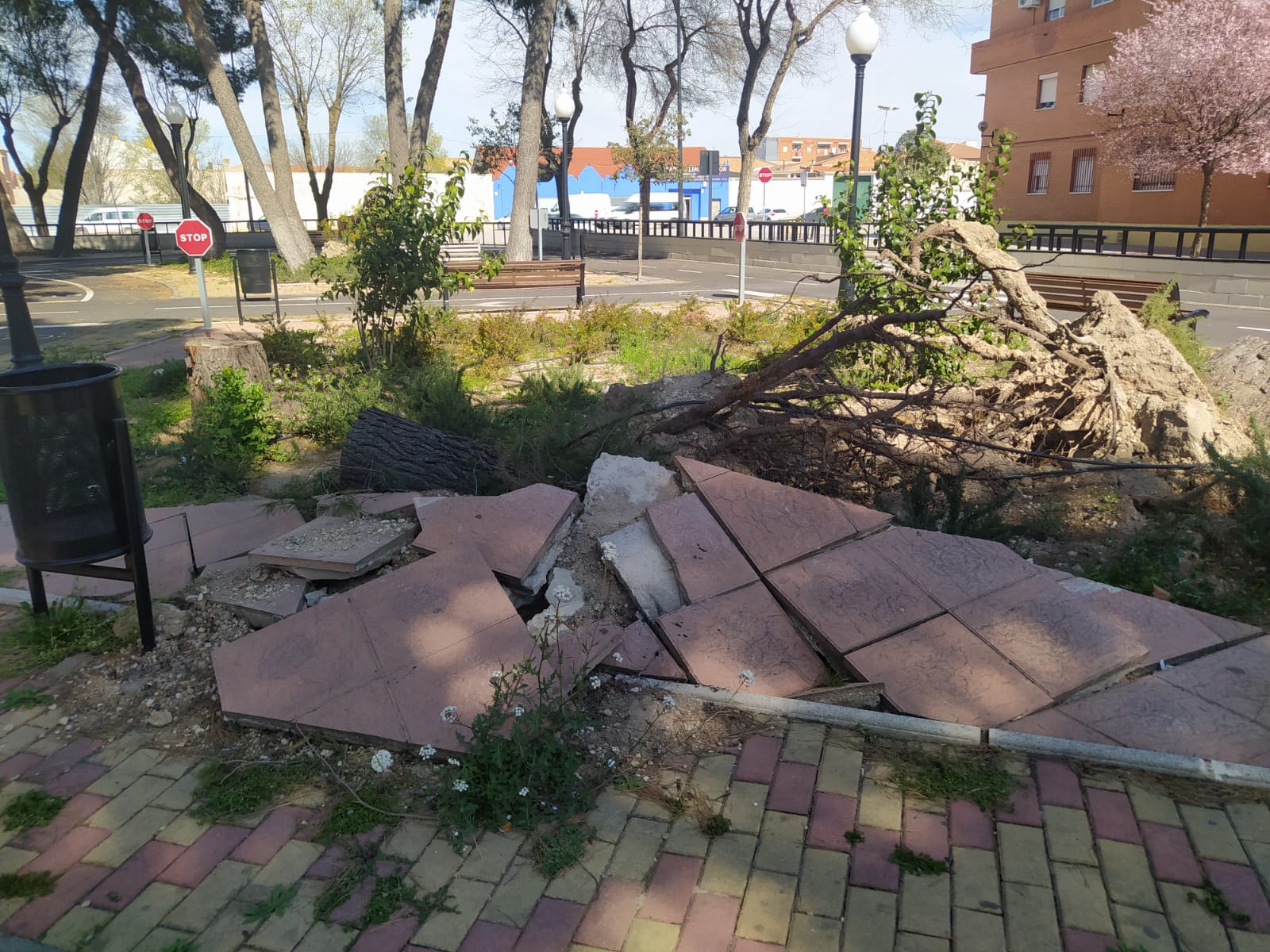 Estado del parque &quot;Gregorio García Aguado&quot; hace unos días