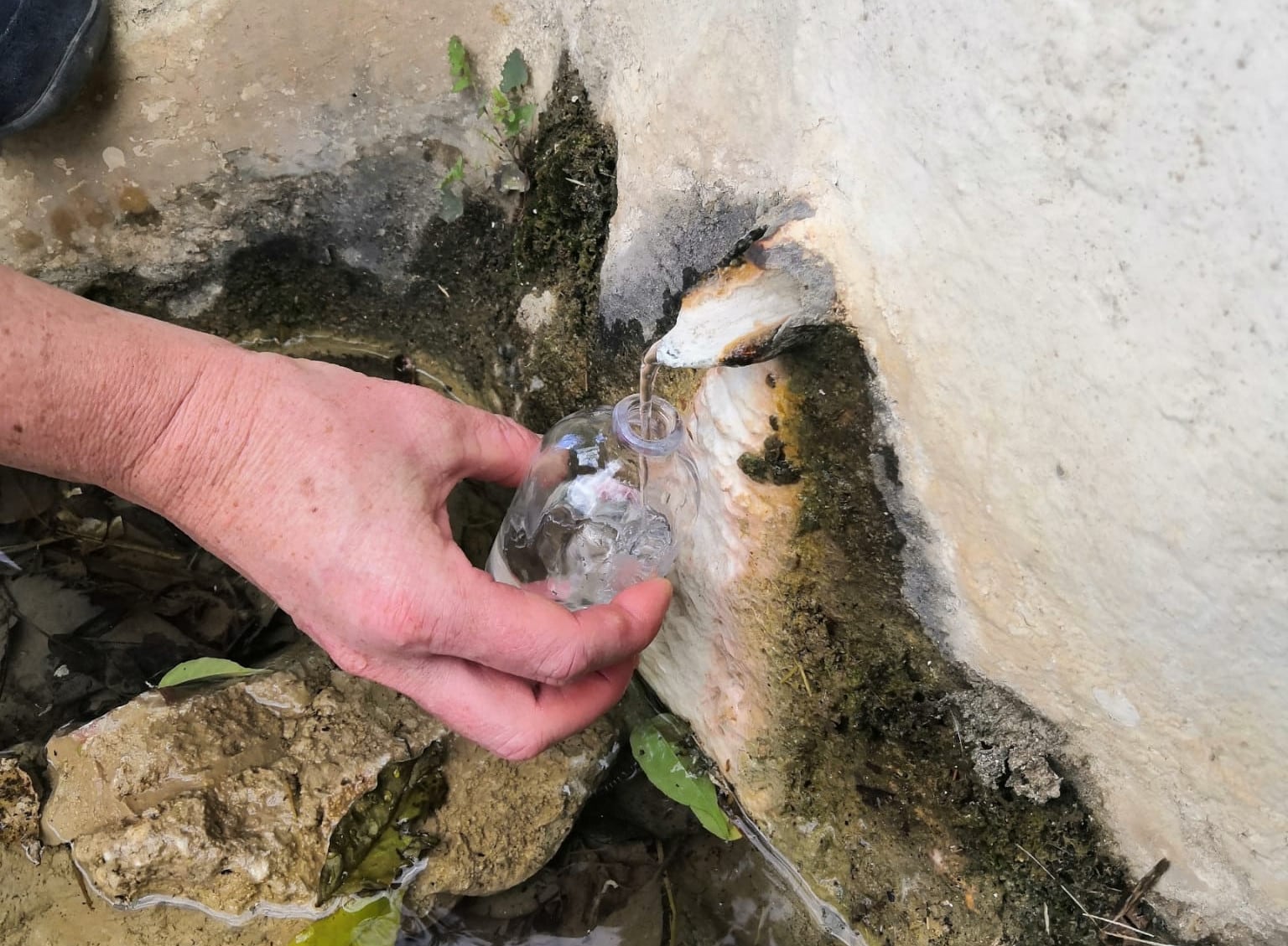 Manantial en Fuente Amargosa(Málaga)