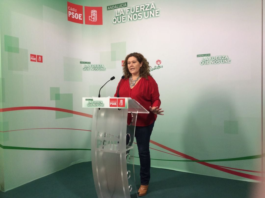 Araceli Maese comparece en rueda de prensa en la sede provincial del PSOE de Cádiz