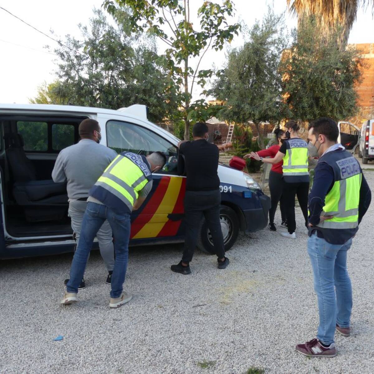 Once detenidos, entre ellos una menor de edad, en Molina de Segura cuando recogían y secaban marihuana