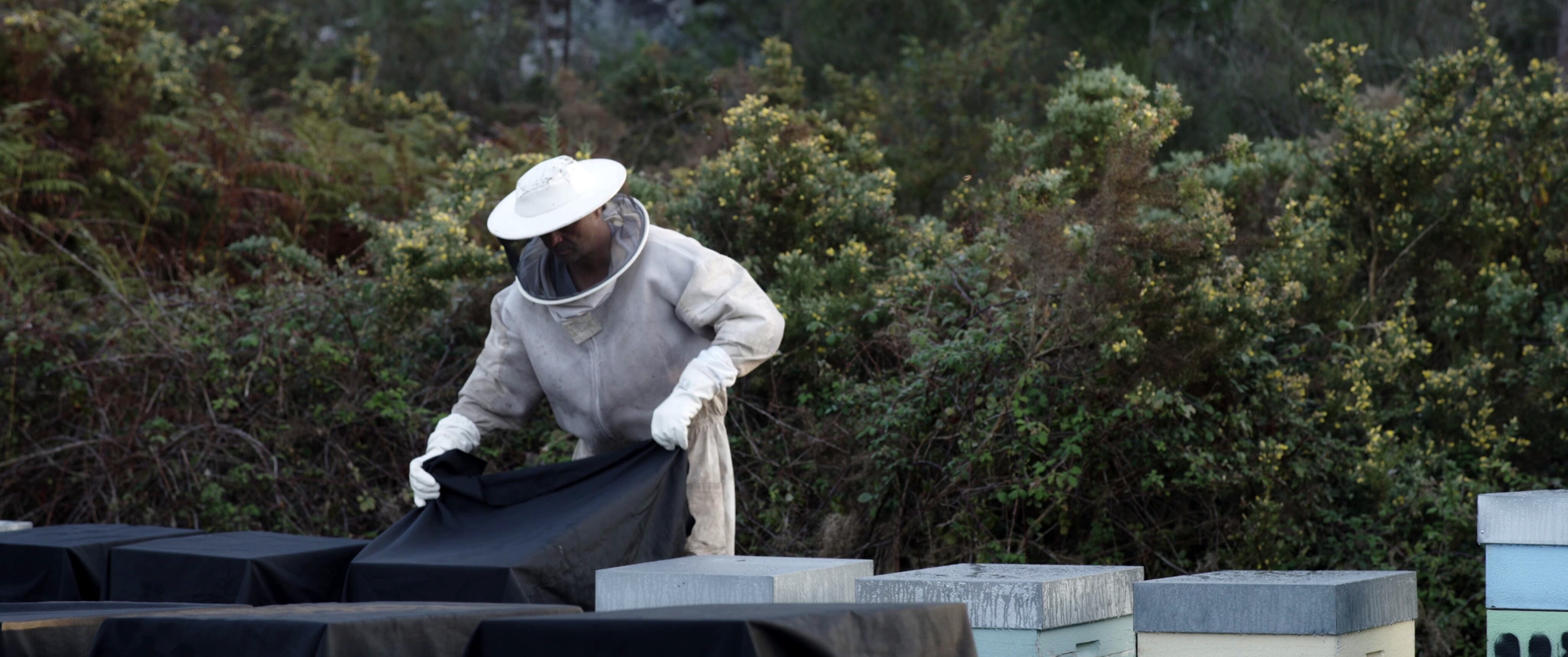 Fotograma de "Abellón"