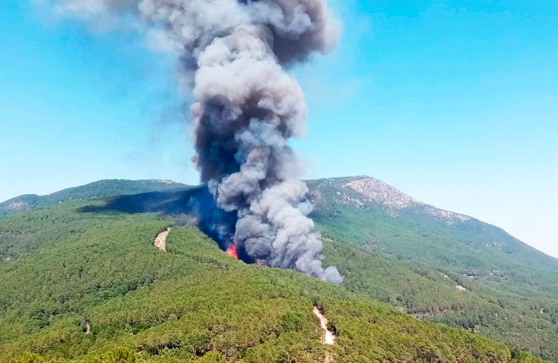 Incendio en Santa Cruz del Valle (Ávila)