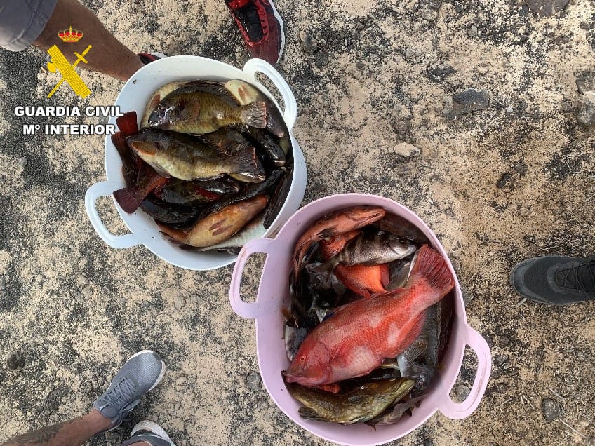 Pescado, capturado ilegalmente en La Reserva Marina de la Graciosa.