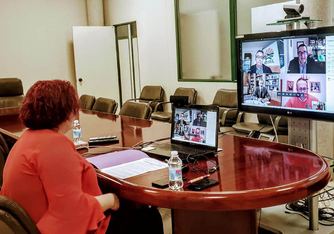 Momento de la videoconferencia entre las organizaciones agrarias extremeñas y la consejería con SM. El Rey